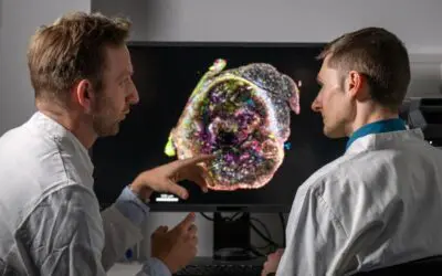 Botenstoff Prostaglandin E2: Abwehr der Krebszellen geknackt