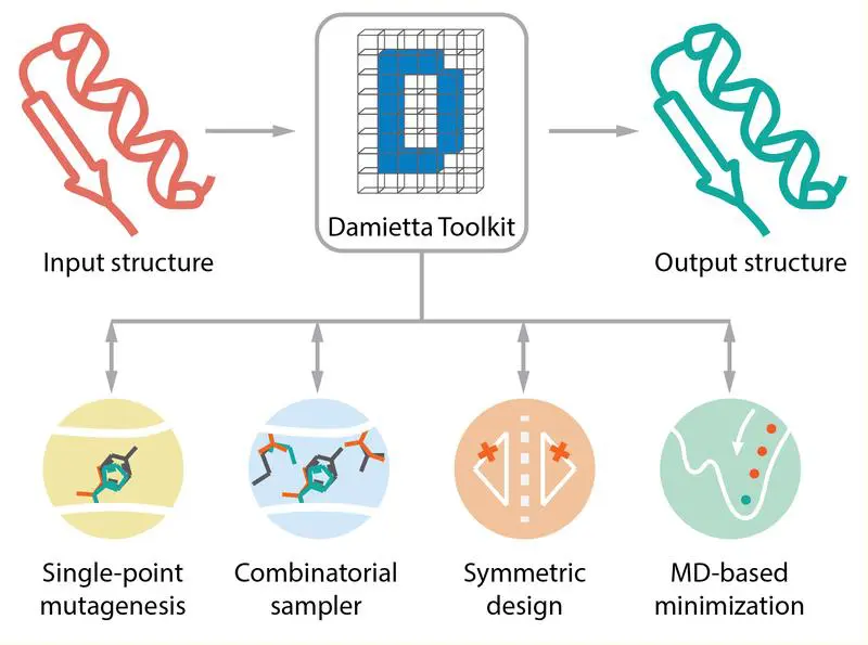 Der Damietta Server integriert verschiedene Protein-Design-Tools und sorgt für deren Interoperabilität (Adaptiert von Nucleic Acids Res, gkae297, https://doi.org/10.1093/nar/) | Quelle: Dr. Kateryna Maksymenko. | Copyright: Dr. Kateryna Maksymenko / Max-Planck-Institut für Biologie Tübingen. | 