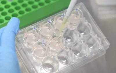 Neues Verfahren macht Tierversuche überflüssig