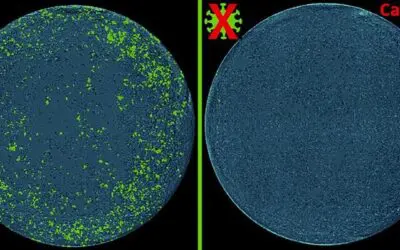 Präzisionsmedizin: Antivirale Abwehr mit neuem CRISPR-Tool rückt näher