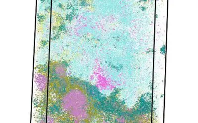 Plattform für räumliche Transkriptomik bildet 3D-Karten kranker Gewebe ab