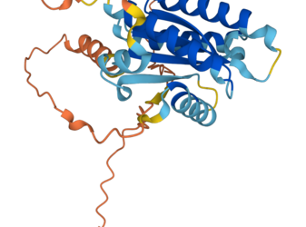 Bioinformatik & Genomik: Neuer internationaler Masterstudiengang “Evolutionary Biology” an der Uni Mainz