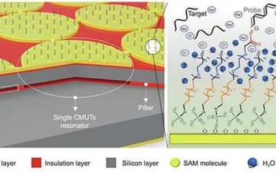 POCT: Neuer resonanter Biosensor erhöht Spezifität beim DNA-Nachweis