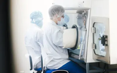 Blutkrebs: DKMS Stem Cell Bank beschleunigt Transplantationstempo erheblich