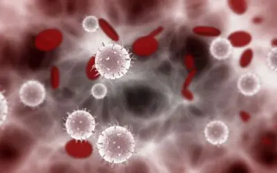 CAR-T-Zellen besiegen Krebs