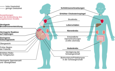 PFAS weltweit in Flaschen- und Leitungswasser nachgewiesen