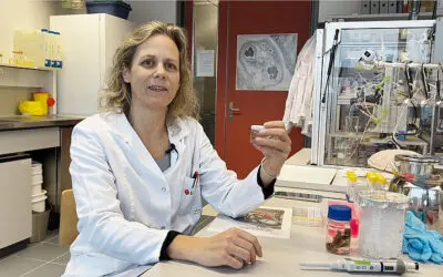 Nanopartikel bedrohen Babys im Mutterleib