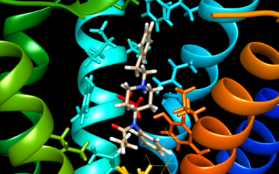 Neuer Bluttest erkennt Fentanyl in Rekordzeit