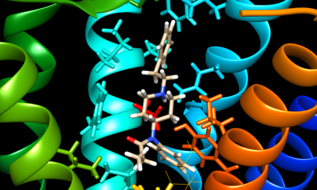 Fentanyl & Nitazen: Opioid-Krise trifft Berlin mit voller Wucht