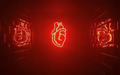 Herzinsuffizienz: Bisherige Diagnosemethoden bei Frauen mit Typ-2-Diabetes unzuverlässig