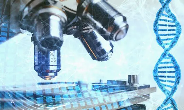 Neue Mikroskopietechnik macht Lipide in lebenden Zellen ohne Marker sichtbar