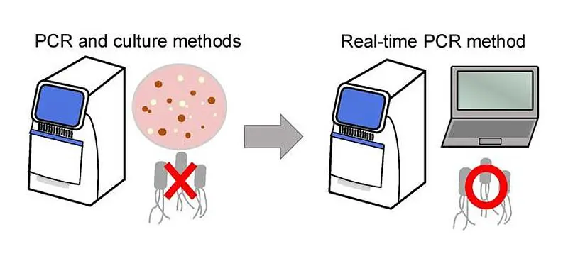 Forscher unter Leitung der Osaka Metropolitan University verwendeten eine Echtzeit-PCR-Methode, um den neu auftretenden Zoonoseerreger Escherichia albertii wirksam nachzuweisen. Credits: Osaka Metropolitan University