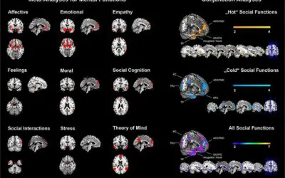 Big Data: Modell für Emotionen und Gefühle geht an den Start