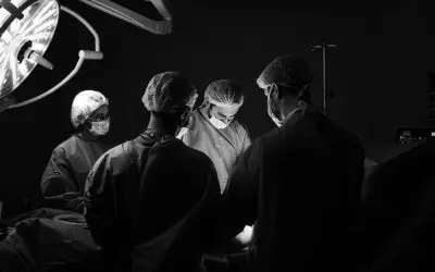 DIZG verzeichnet mehr Gewebespenden