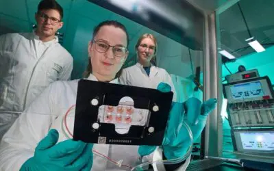 Minilabor erlaubt ex vivo Beobachtung von Metastasen