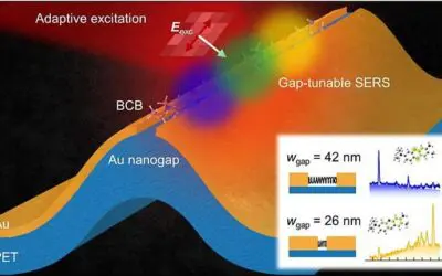 Nanosensor erlaubt Echtzeit-Nachweis hochpathogener Viren