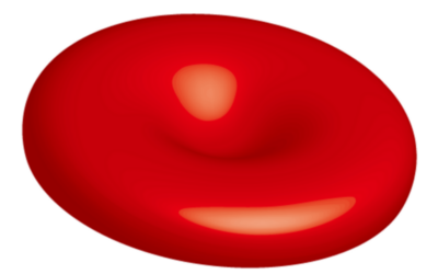 Thalassämie: Gentherapie ermöglicht Leben ohne Bluttransfusionen