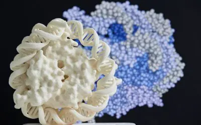 Sepsis: Next Generation Sequencing optimiert die Diagnostik