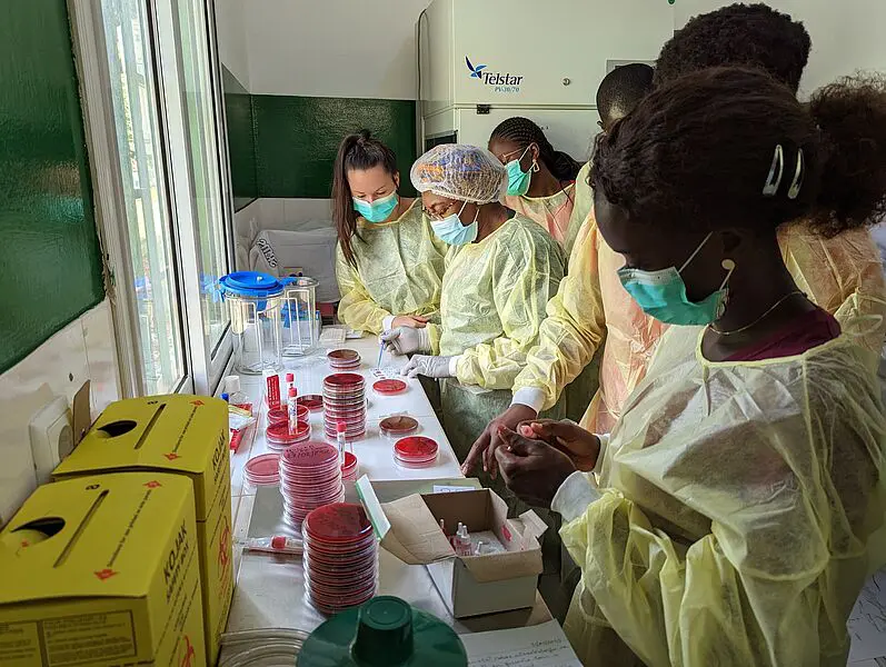 Das Team von Sören Becker baut mit Klinikpartnerschaften Diagnostiklabore wie hier in Guinea-Bissau auf und schult Ärzte und Mitarbeiter. Es geht nicht um teure Ausstattung, sondern um Know-how und Routine-Infektionsdiagnostik: Petrischalen und Mikroskop. | Quelle: Arbeitsgruppe Sören Becker | Copyright: Universitätsklinikum des Saarlandes (UKS) |