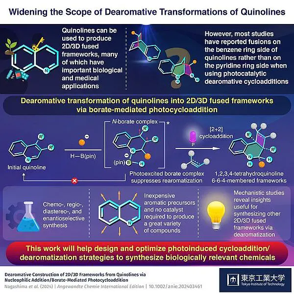 Diese Arbeit wird dazu beitragen, photoinduzierte Cycloadditions-/Entaromatisierungsstrategien zu entwickeln und zu optimieren, um biologisch relevante Chemikalien zu synthetisieren. Credits: Yuki Nagashima, Tokyo Institute of Technology