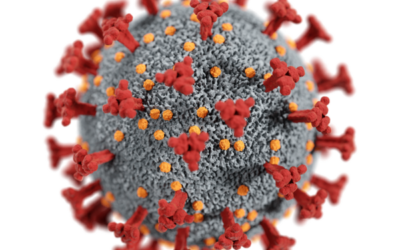 PAIR-Projekt stellt 3D-Prototyp seines Point-of-Care-Diagnosesystems fertig