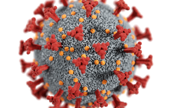 Viskosität des Blutplasmas verrät Schweregrad der COVID-19 Erkrankung