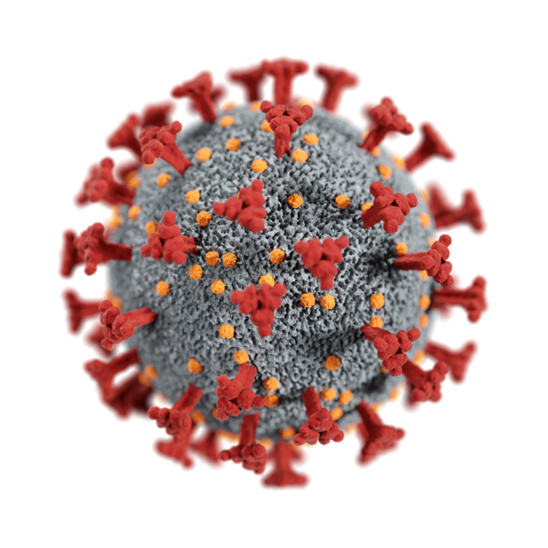 Coronavirus: Das Post-COVID-Syndrom lässt sich lindern, berichten Marburger Forschende. Credits: Pixabay/CDC.