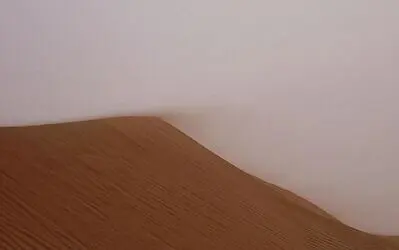 Saharastaub löst Entzündungsprozesse aus