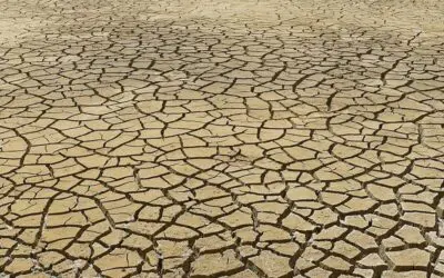 Metastasen und Verbrennungen: Neurolinguistiker plädiert für medizinische Sprache in der Klimadebatte