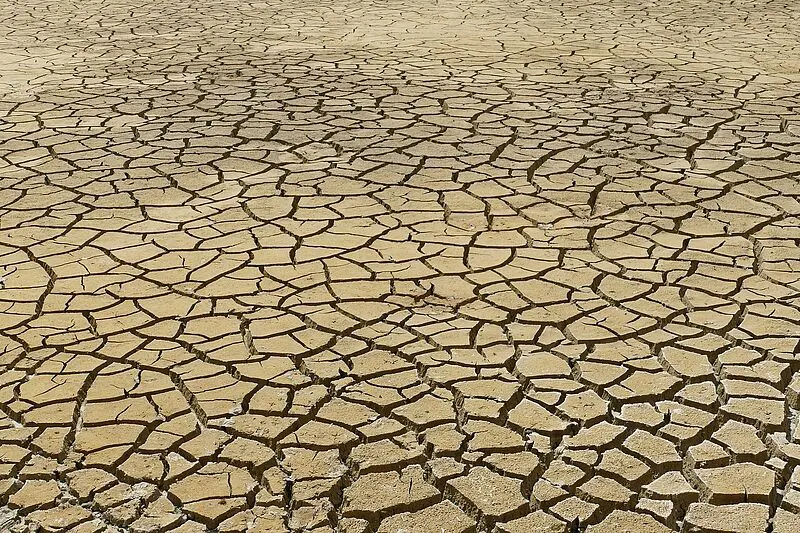 „Die Einführung einer medizinischen Sprache in der Klimakommunikation könnte einen Paradigmenwechsel darstellen. Dieser Ansatz könnte helfen, die Ernsthaftigkeit der Klimakrise klarer zu kommunizieren und eine breitere Akzeptanz für notwendige Maßnahmen zu schaffen“, betont Bálint Forgács. Symbolbild. Credits: Pixabay