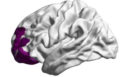 Präfrontale Myelinisierung schützt Jugendliche vor psychosozialem Stress