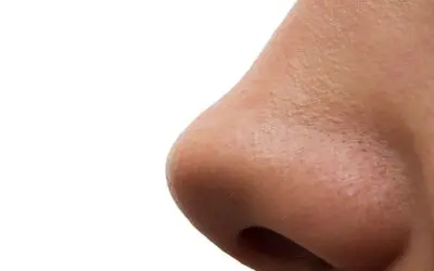 Männer können Fruchtbarkeit von Frauen nicht über den Geruch wahrnehmen