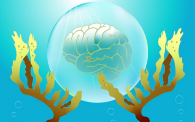 Antioxidantien aus Meeresalgen könnten Parkinson vorbeugen