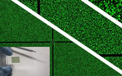 Microarrays: Nächste Generation von RNA-Chips entwickelt