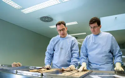 SARS-CoV-2-Infektion aktiviert angeborenes Immunsystem