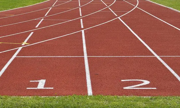 Orexin-System entscheidet über Sport oder Snack