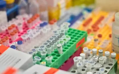 TnpB: “Genschere” für die Genom-Editierung optimiert