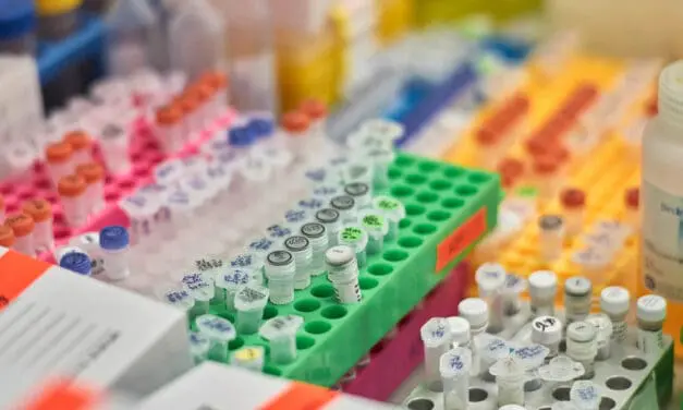 TnpB: „Genschere“ für die Genom-Editierung optimiert