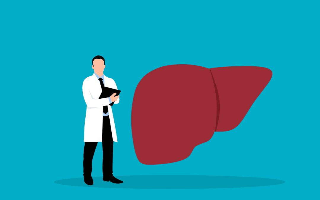 S3-Leitlinie zu Leber- und Gallenblasenkrebs aktualisiert