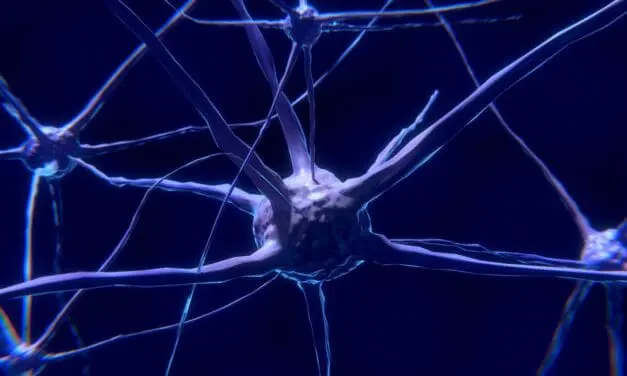 Fortschritt in der Glioblastom-Therapie: Temsirolimus zeigt Erfolg in multizentrischer Studie