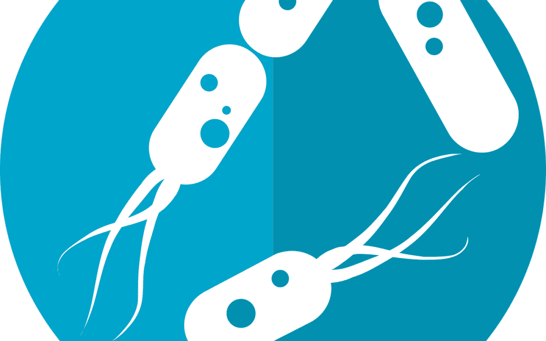 Synthetischer Mini-Motor mit enormer Kraft entwickelt