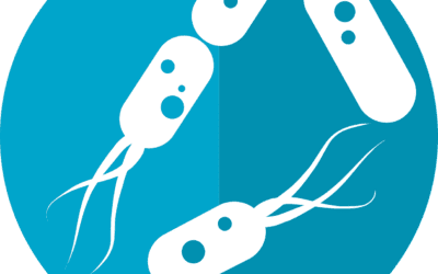 Synthetischer Mini-Motor mit enormer Kraft entwickelt