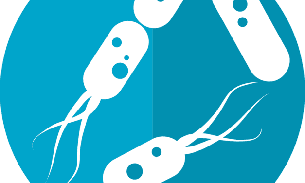 Synthetischer Mini-Motor mit enormer Kraft entwickelt