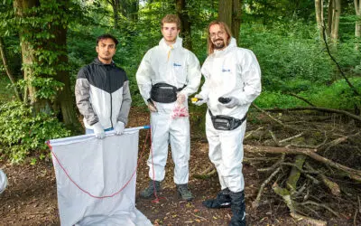 Klimawandel: Zecken erobern Deutschlands Städte