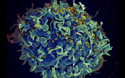 Durchbruch: Schweden erfüllt UN-Ziele zur Bekämpfung der HIV-Epidemie