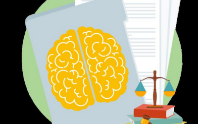 Bioethik: Menschliche Hirnorganoide als juristische Herausforderung