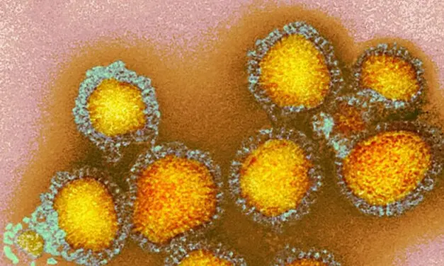 Grippewelle 2025: Schutzimpfungen in Apotheken sparen Zeit