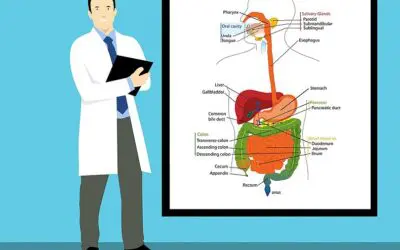 Radioligandentherapie verlängert Überlebenszeit bei Patienten mit gastroenteropankreatischen neuroendokrinen Tumoren