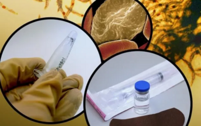 Malaria-Impfstoffkandidat wirkt dauerhaft