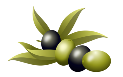 Oliven: Inhaltsstoff wirkt gegen Diabetes Typ-2 und Fettleibigkeit